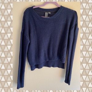Francesca’s Quinn Cropped Sweater | Large